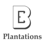 icons and pics purposes (2)