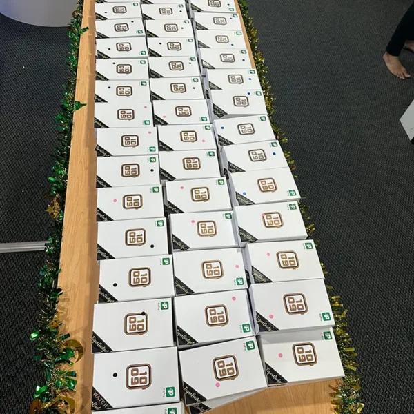 IMG_0521-scaled-e1739350627742 1